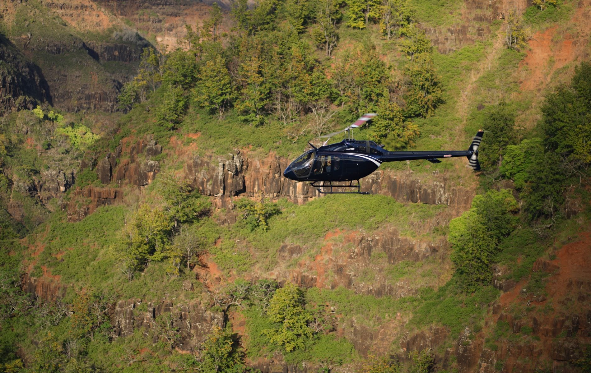 KAT05849_洗浄済み_070722